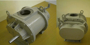 Roots Blower Repair